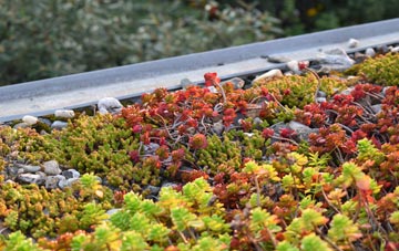the cost of Banks green roof installation