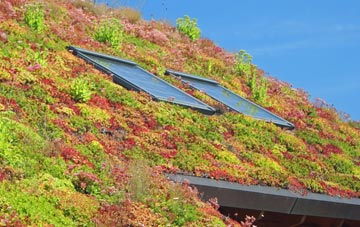Banks living roof systems
