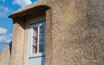 Banks thatch roof disadvantages