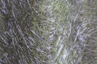 Banks fibreglass roof work